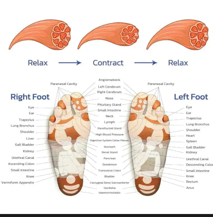 Electric Foot Massager with Rolling Nodes