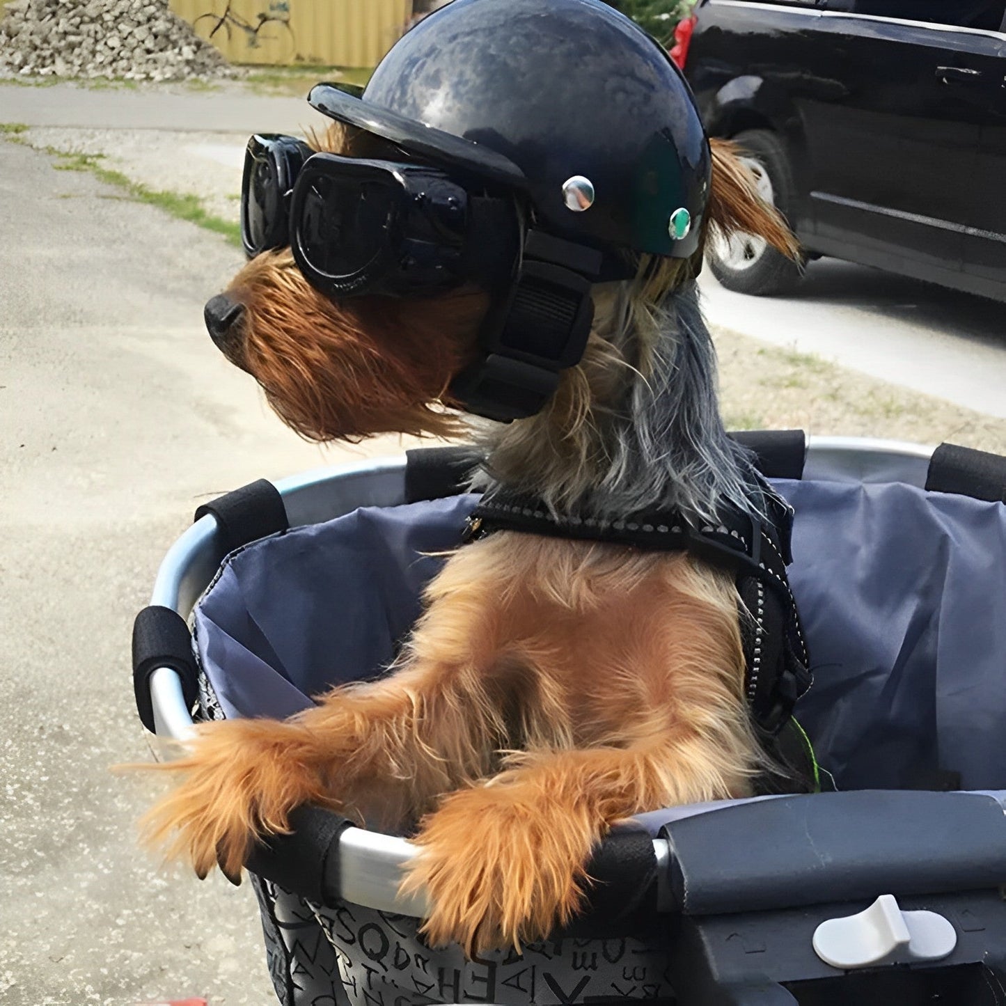 Safe Pet Bike Helmet with Goggles Adjustable Strap - Luxicro