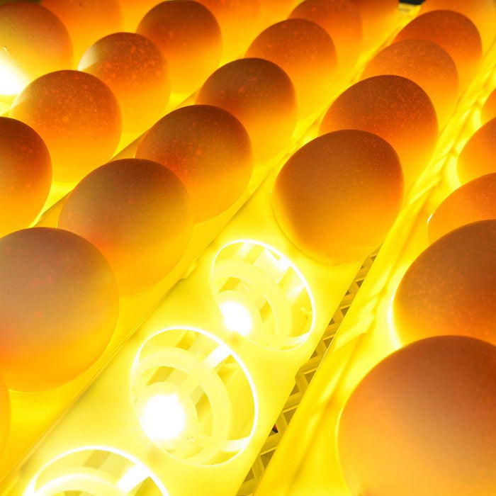 Large Automatic Egg Incubator - Luxicro