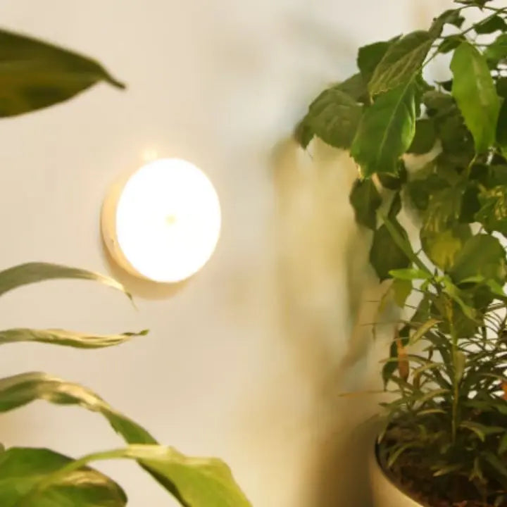 Plug in Motion Sensor LED Night Light with USB Charging