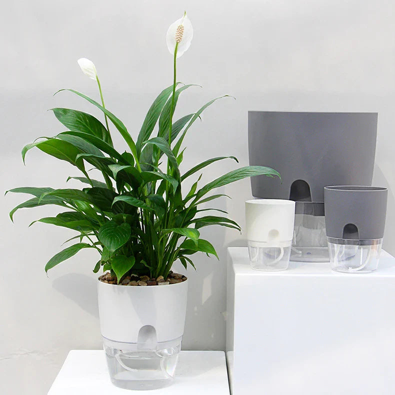 Automatic Watering Garden Pot - Luxicro
