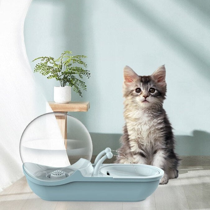 Self Cleaning Pet Drinking Water Station Fountain - Luxicro