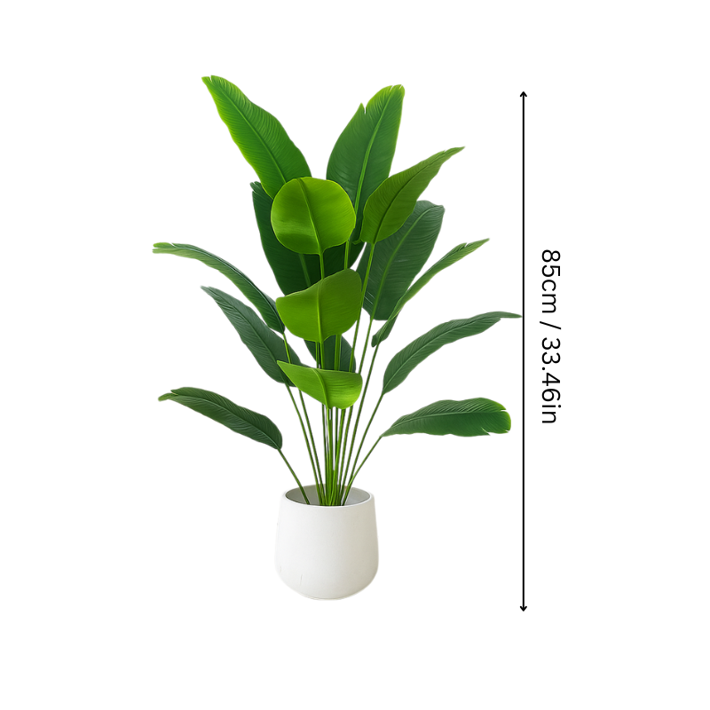 Green Indoor Potted Plant
