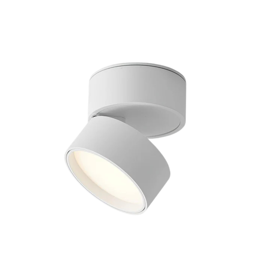 Adjustable Contemporary Ceiling LED Light