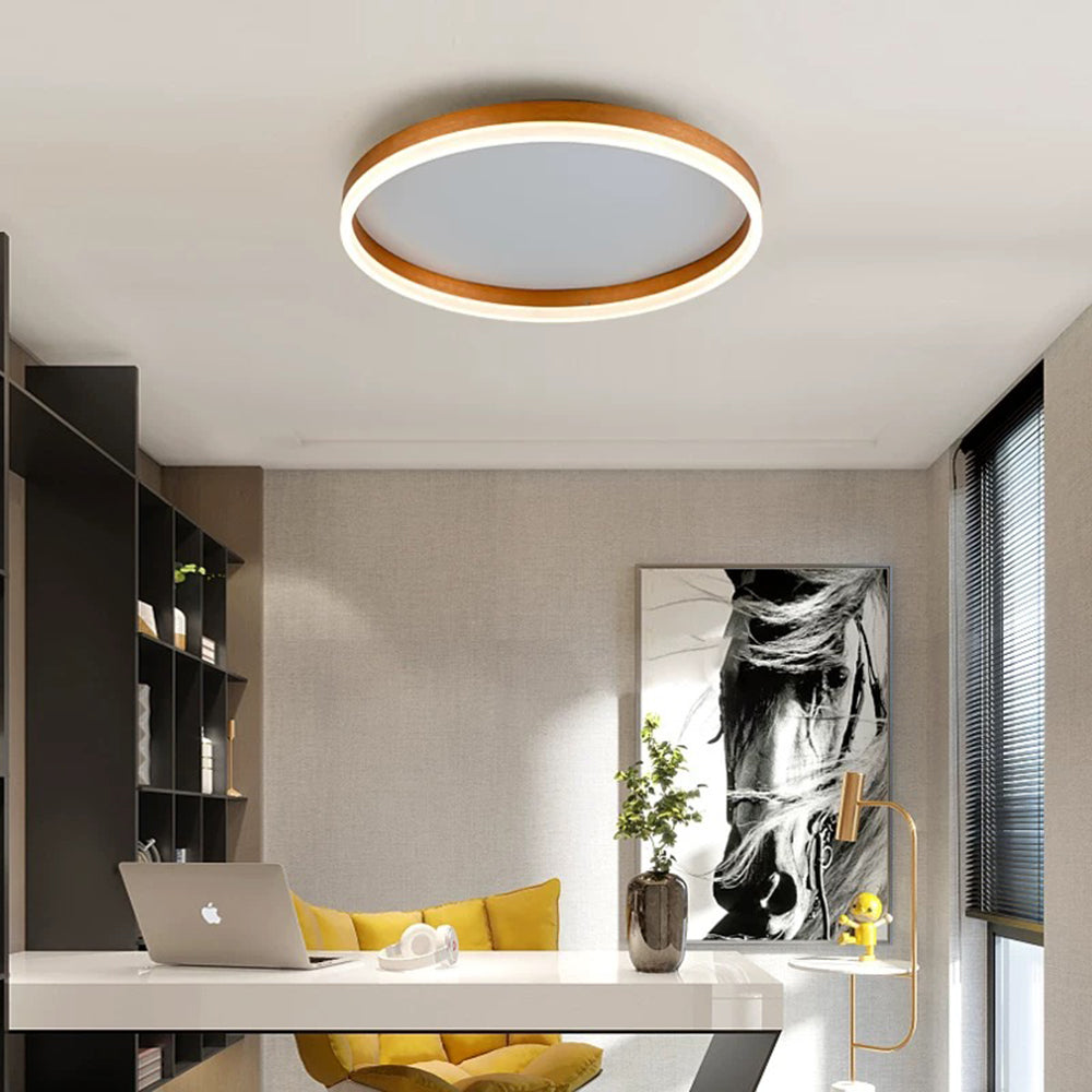 Bright Round Ceiling Light Fixture for Living Areas