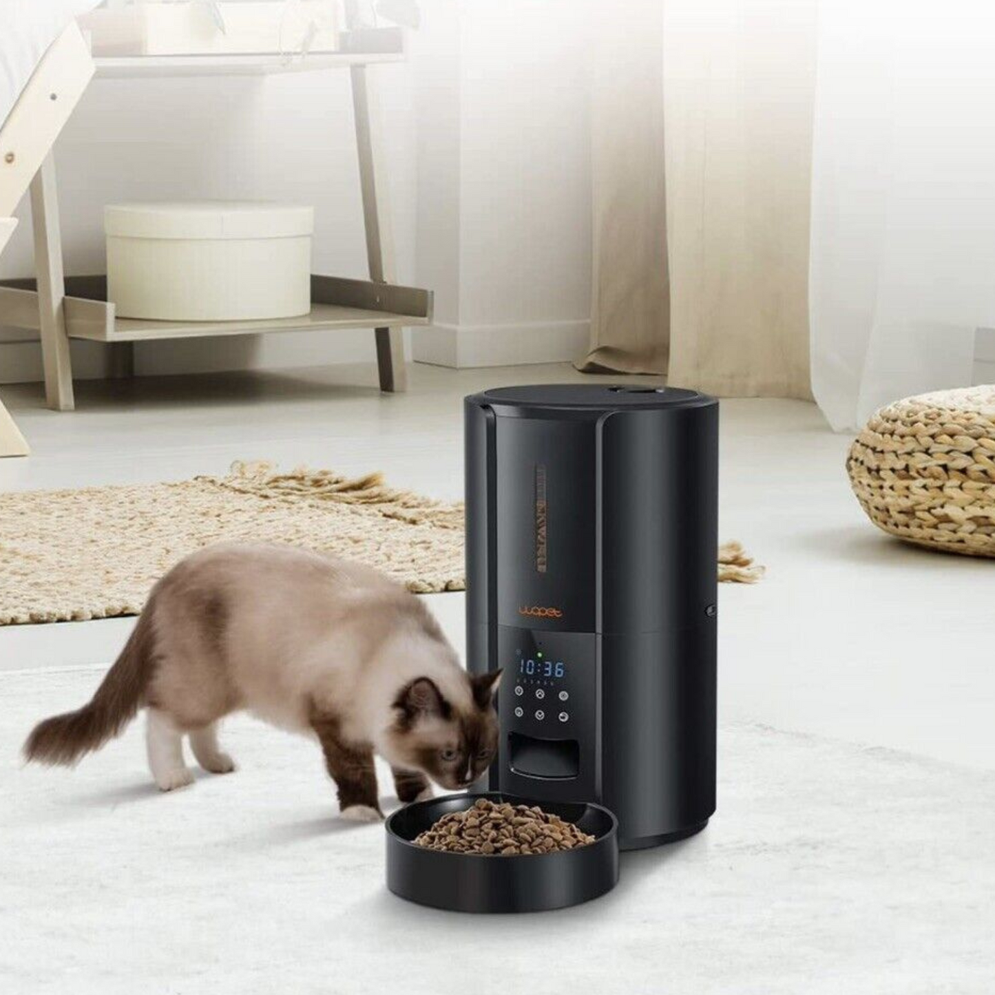 Automatic Pet Food Dispenser for Dogs and Cats - Luxicro