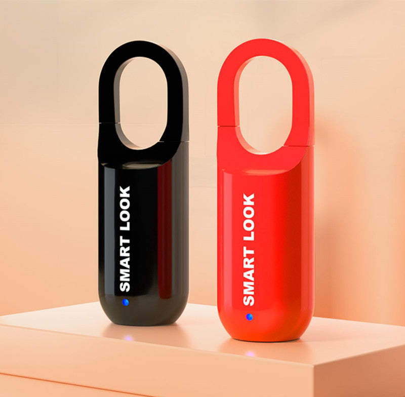 Secure Electronic Biometric Door Lock