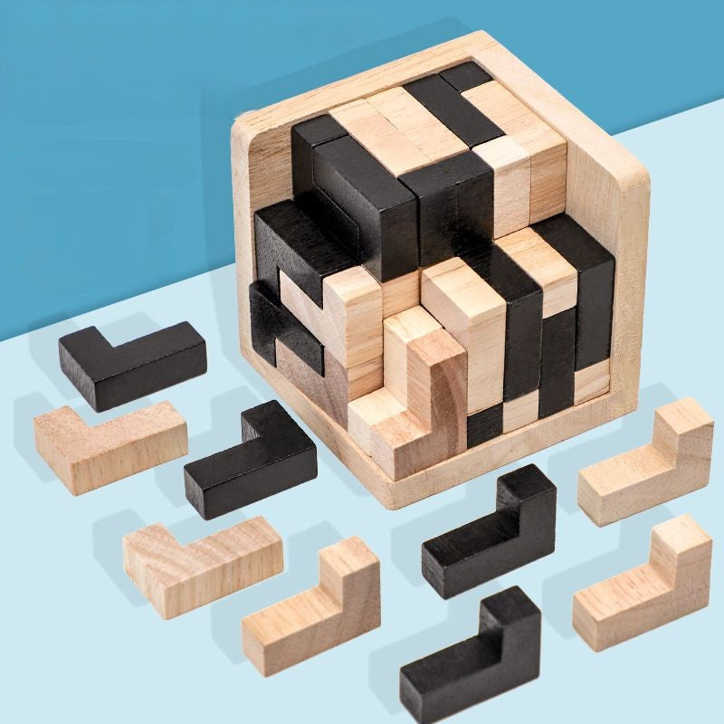 Challenging Wooden Logic Puzzle Game