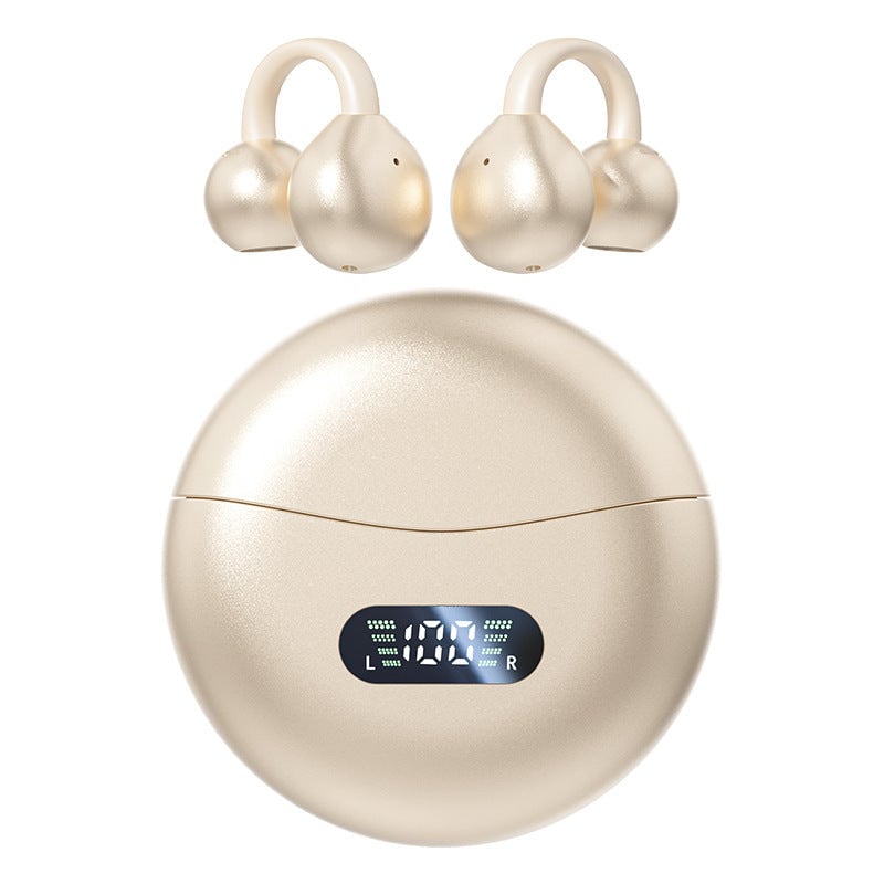 Bluetooth Translator Earphones