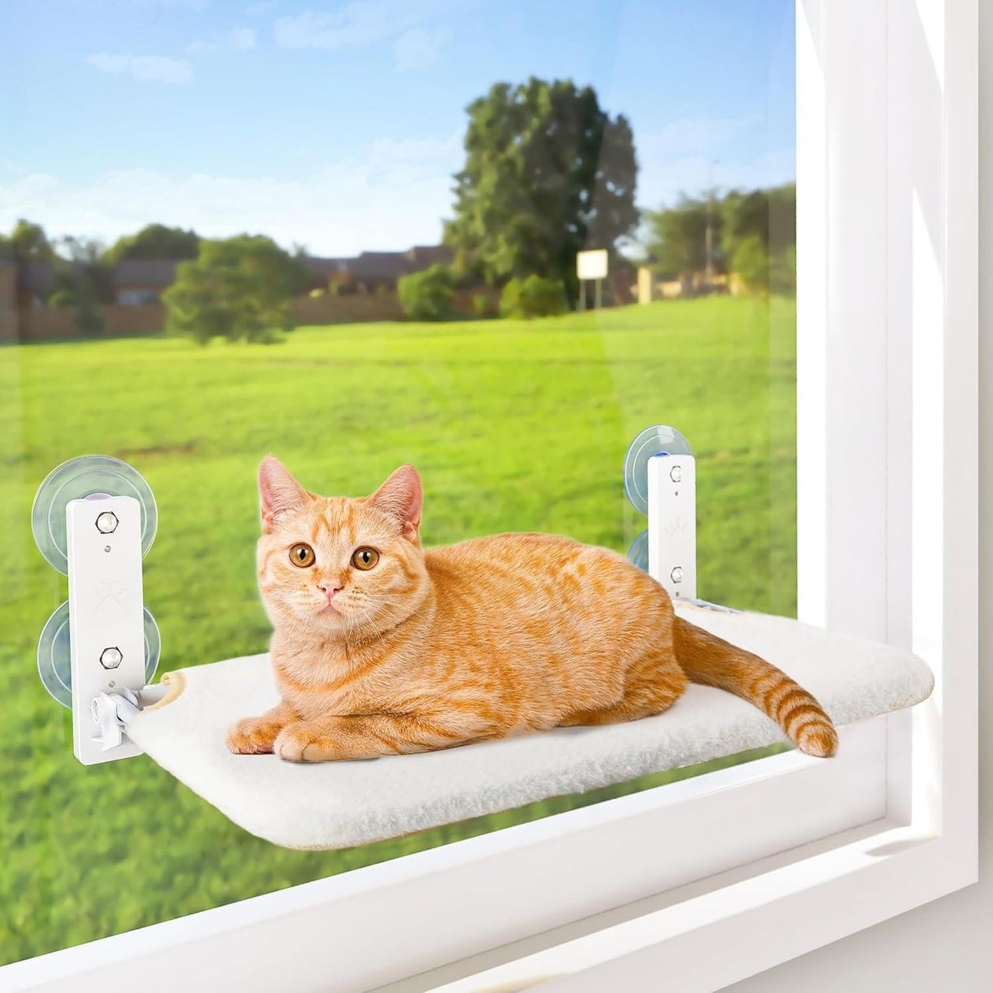Cozy Kitty Window Perch