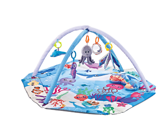 Colorful Baby Play Gym Mat | 8-in-1 Development Toy