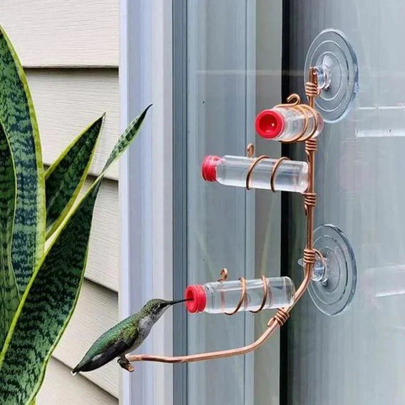 Bird Watching Window Bird Feeder