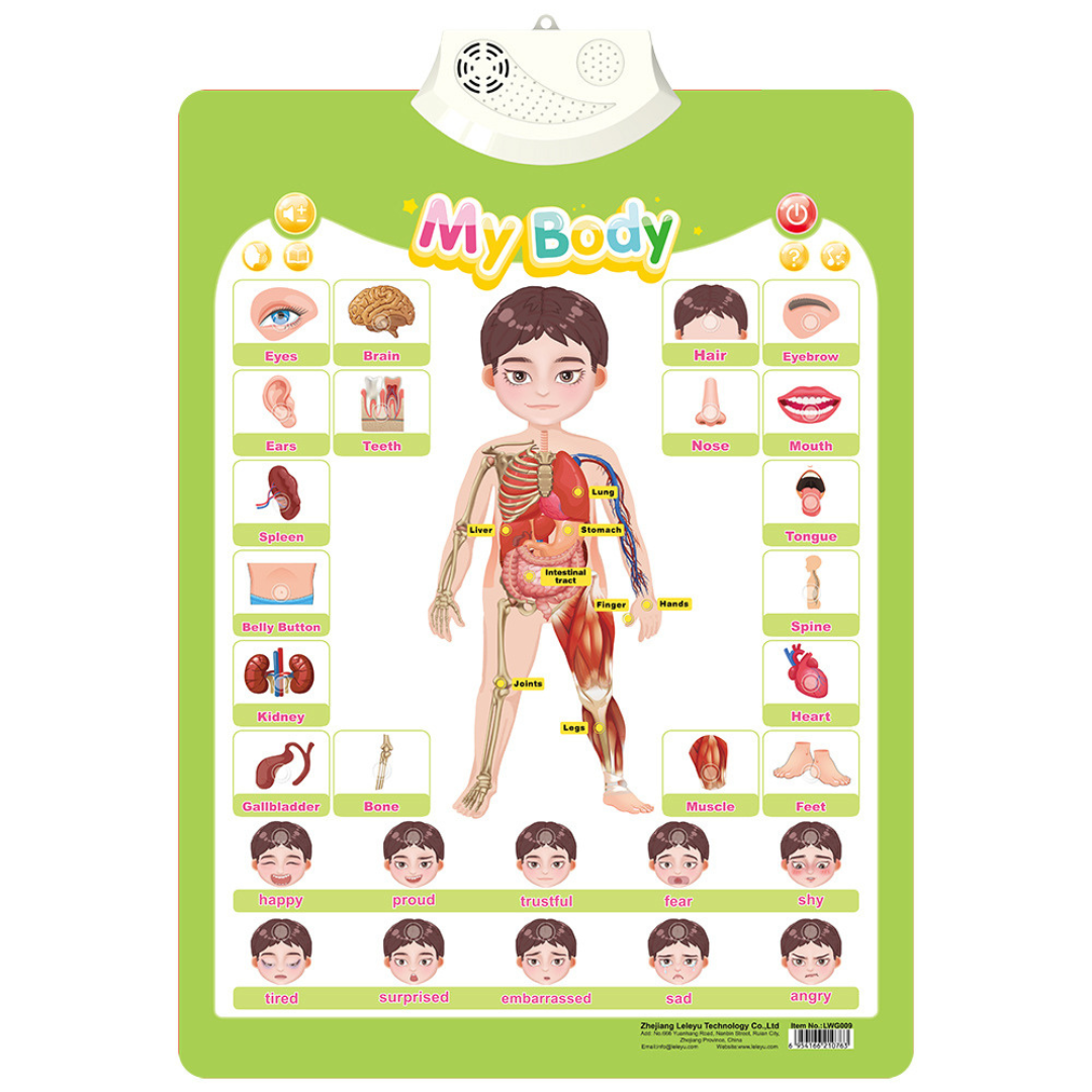 Kids Educational Sound Activity Board