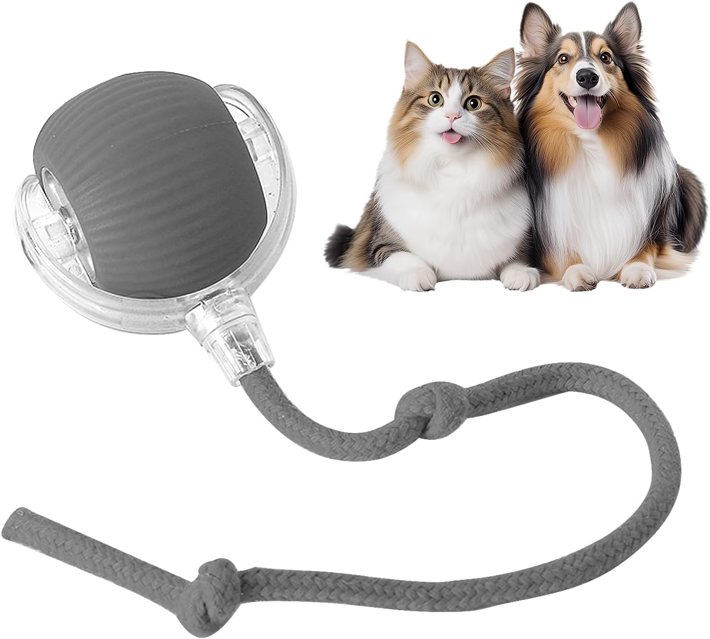 Fun Interactive Pet Toy