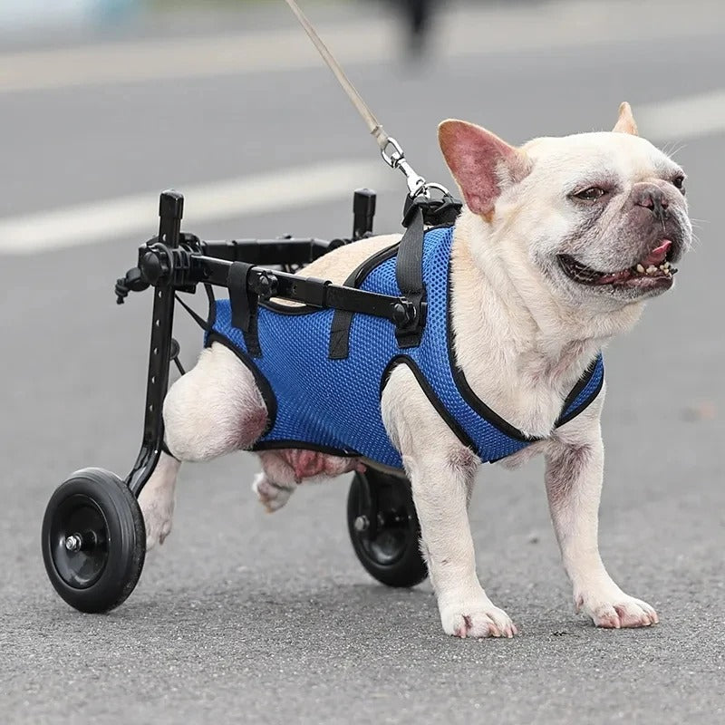 Supportive Dog Stroller for Handicapped Pets - Luxicro