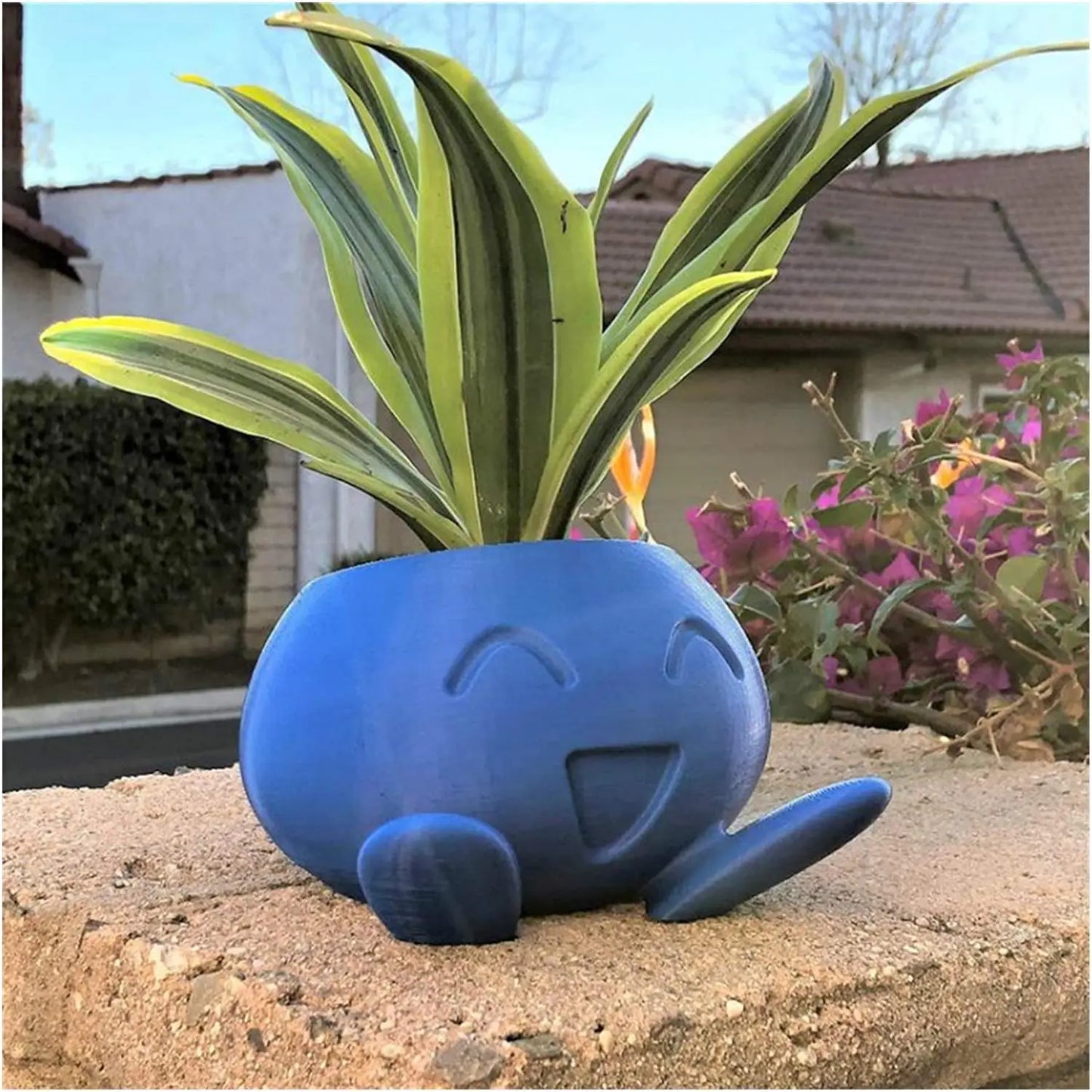Colorful Small Succulent Planter - Luxicro