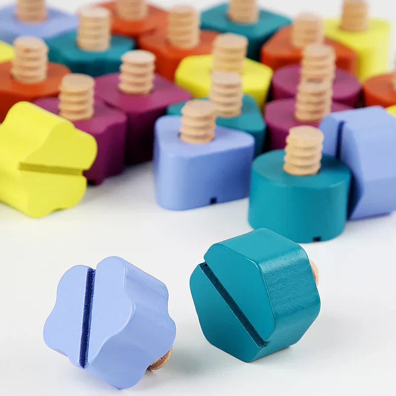 Colorful Wooden Shape Sorting Game
