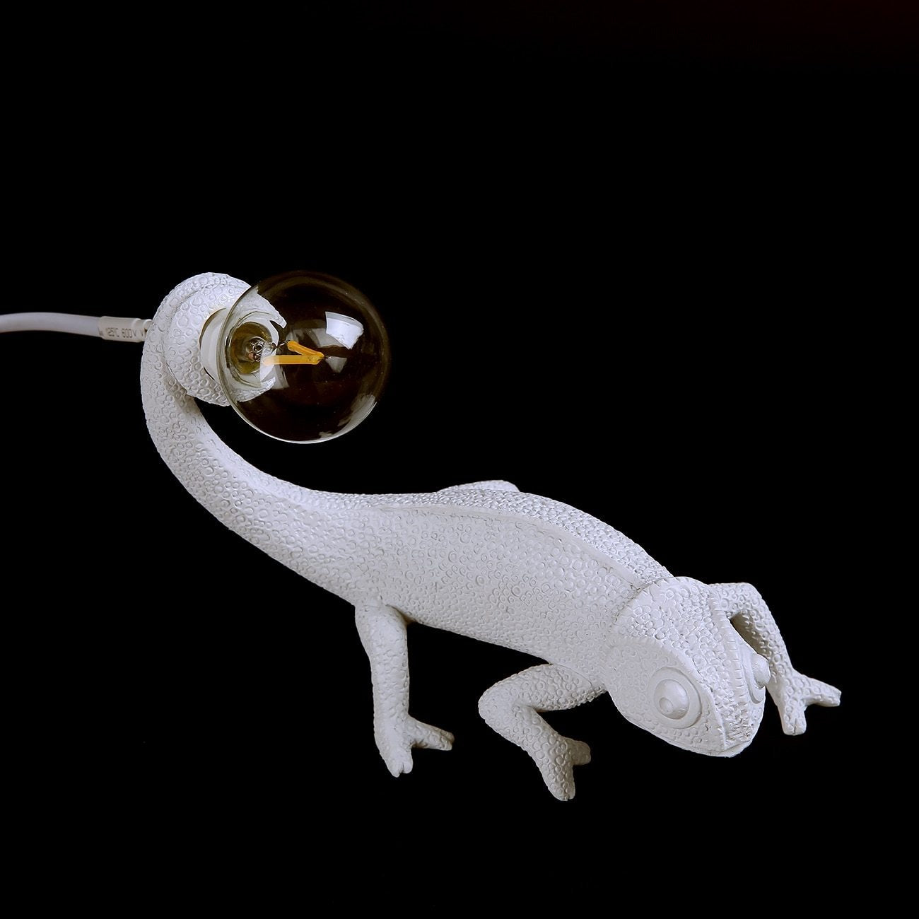 Unique Decorative Reptile Table Lamp