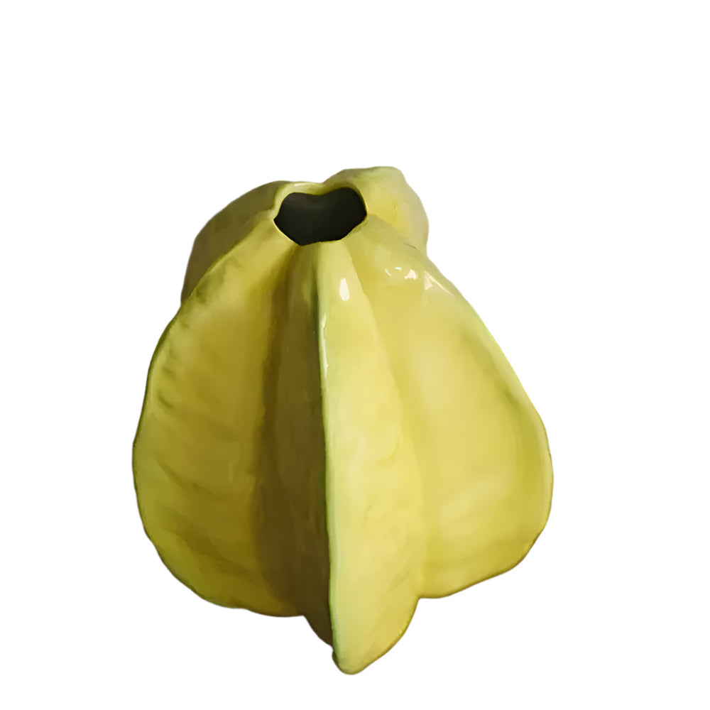 Unique Artisanal Flower Vase Starfruit Pattern