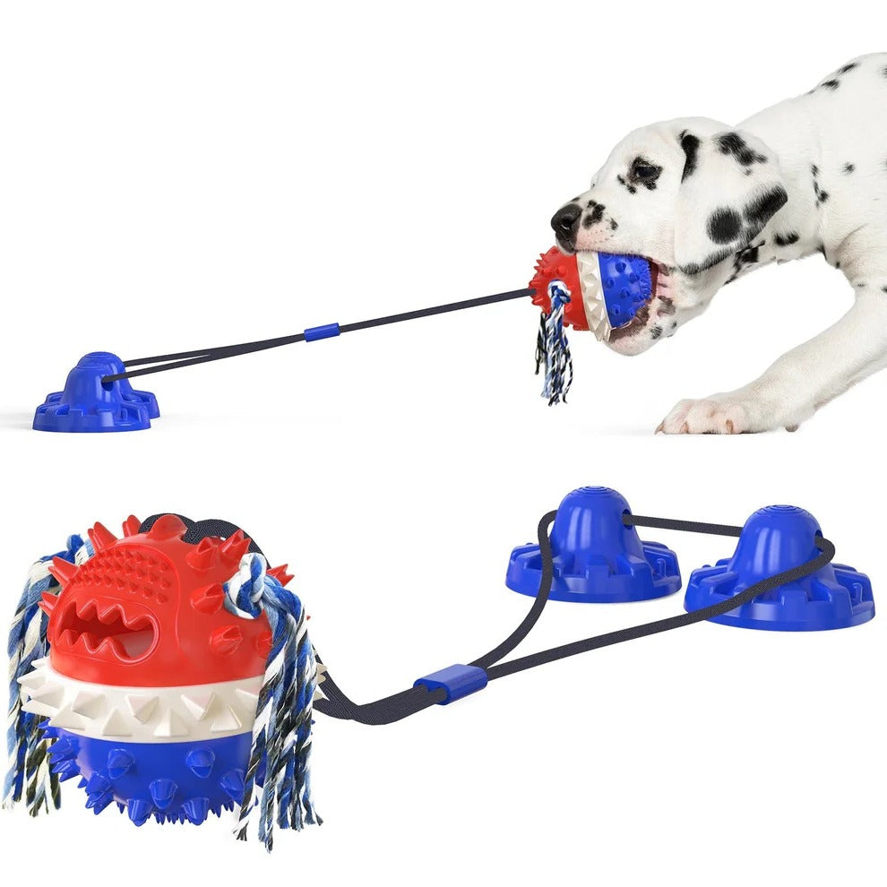 Automatic Fun Pet Entertainment Toy
