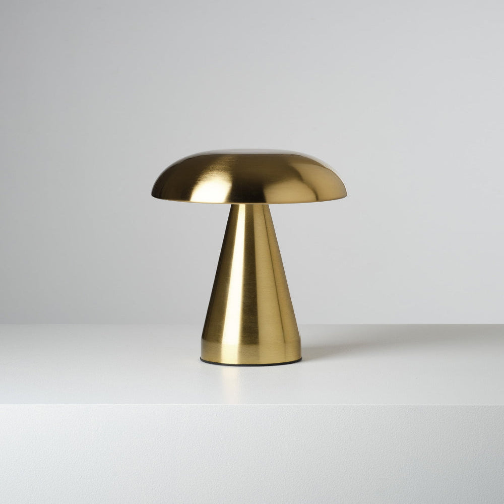 Contemporary USB Rechargeable Metal Desk Lamp