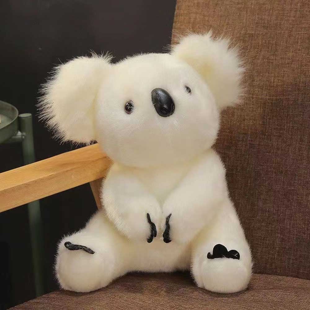 Cuddly Australian Koala Soft Toy