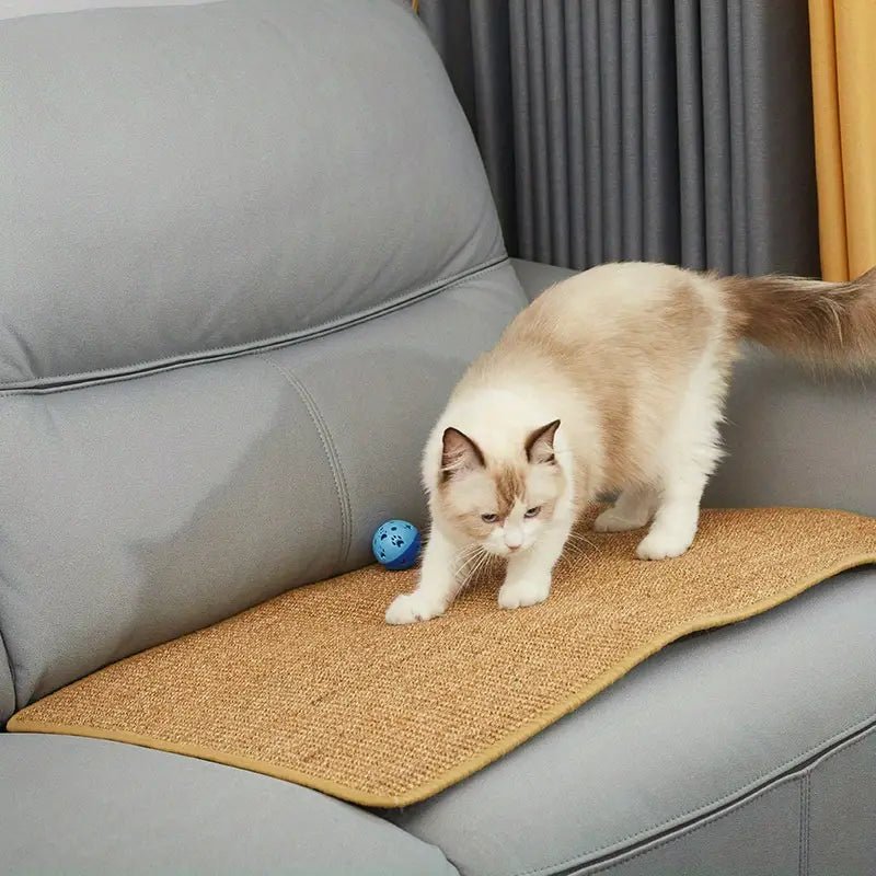 Durable Cat Scratcher for Strong Claws and Fun Play