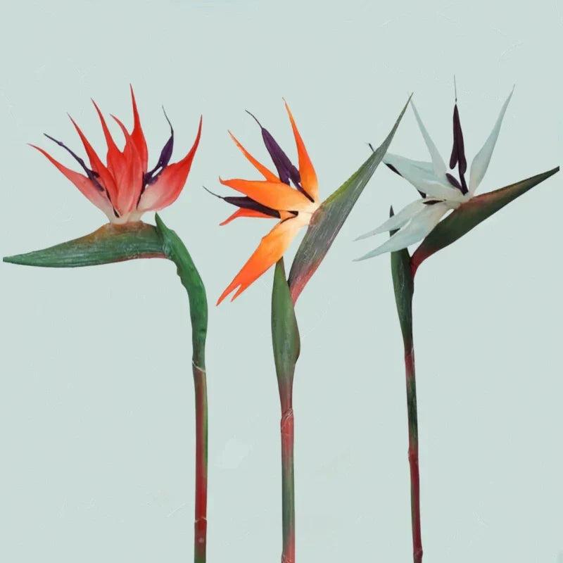 Vibrant Exotic Flower Arrangement 3 Piece Decor