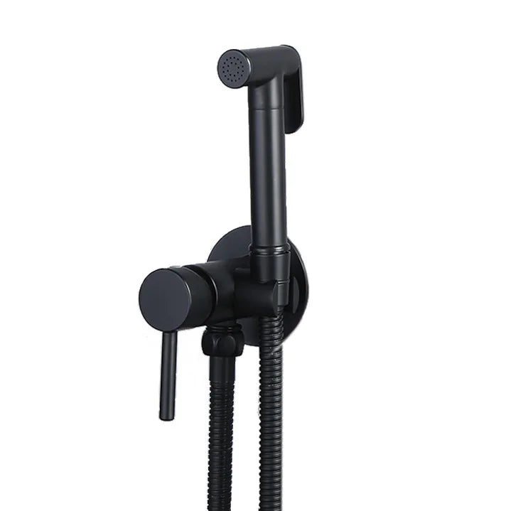 Clean Wall Mounted Bidet Faucet Set