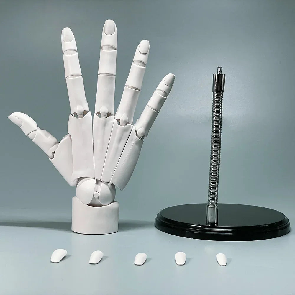 Realistic Posing Artist Hand Model Doll