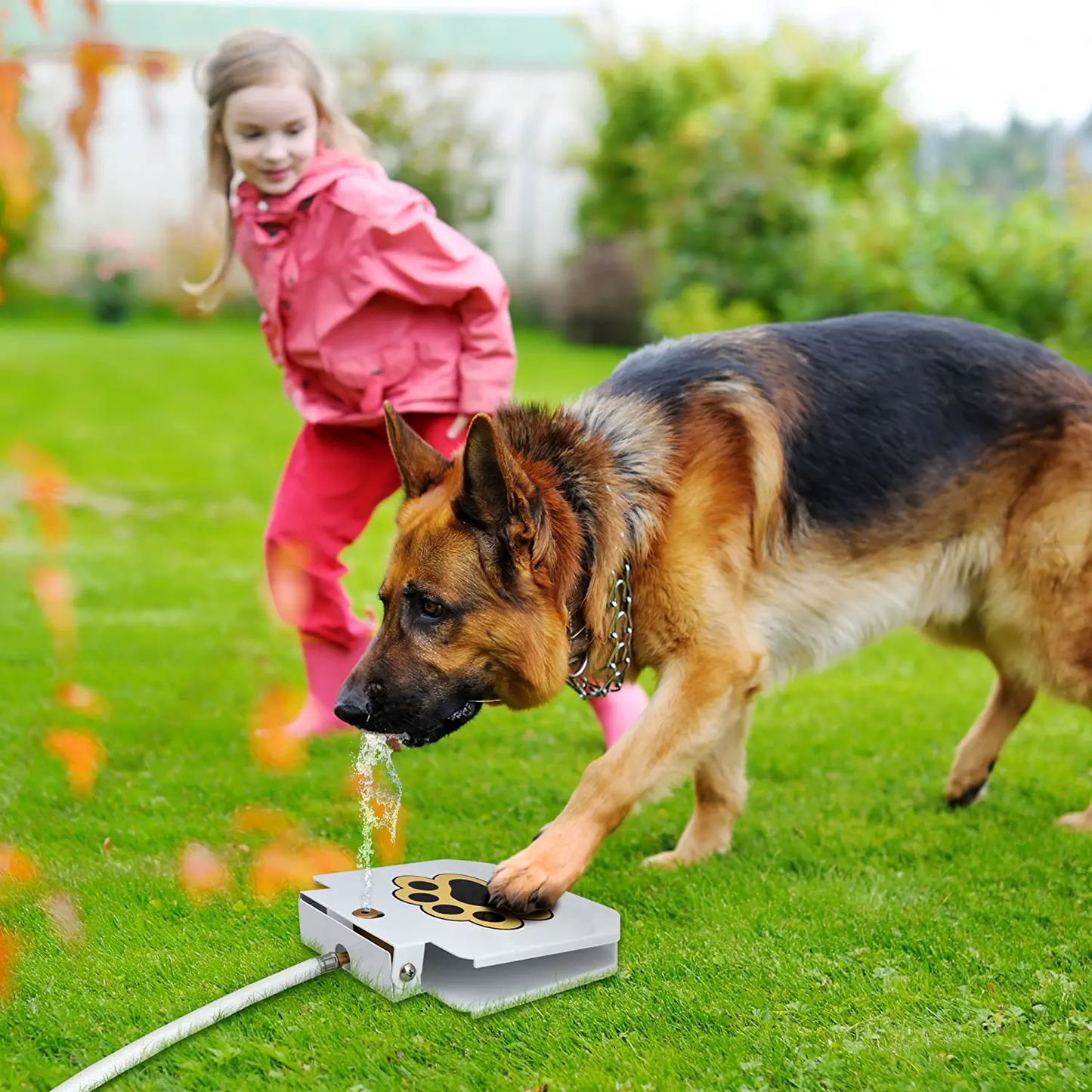 Automatic Pet Paw Activated Water Fountain Sprinkler - Luxicro