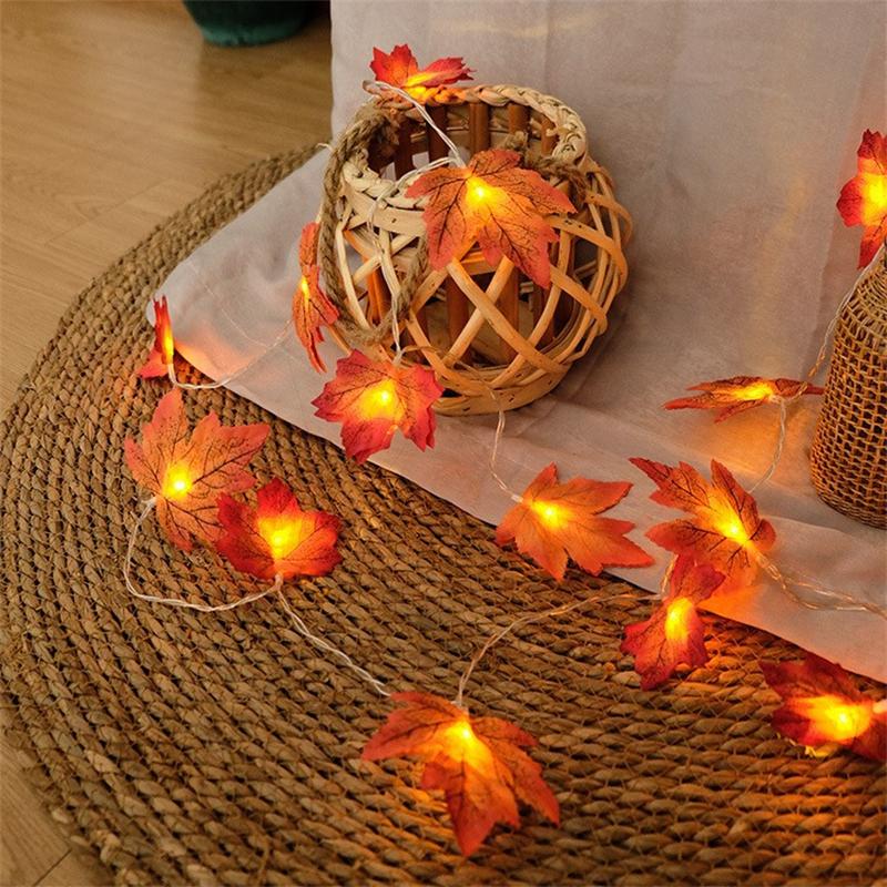 Vibrant Autumn Fairy Light Set