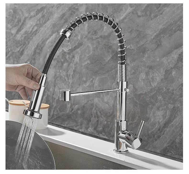 Black and Gold 2 Handle Kitchen Sink Faucet