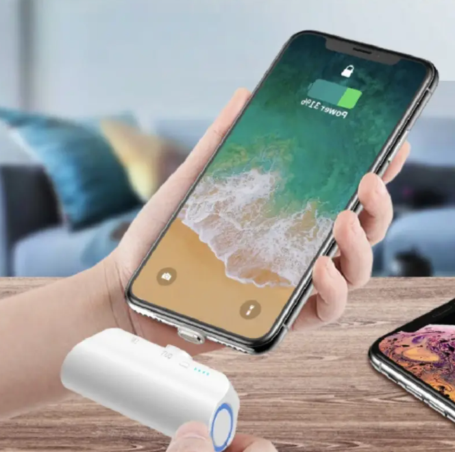 Compact Travel Magnetic Phone Charger - Luxicro