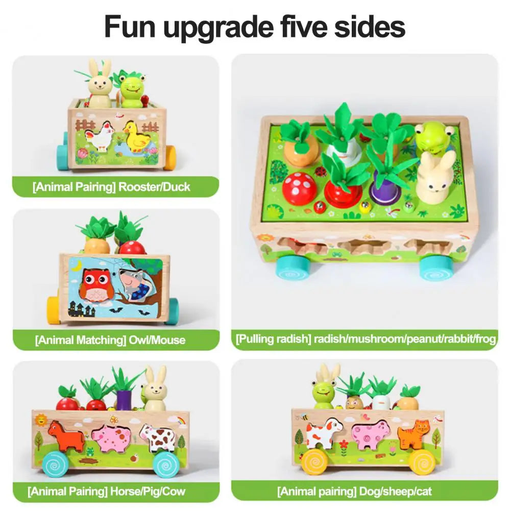 Fun Farm Toy Sorting Truck
