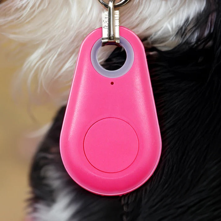 Accurate GPS Pet Tracker for Dogs and Cats