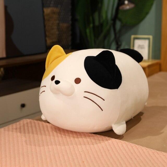 Funny Cat Crew