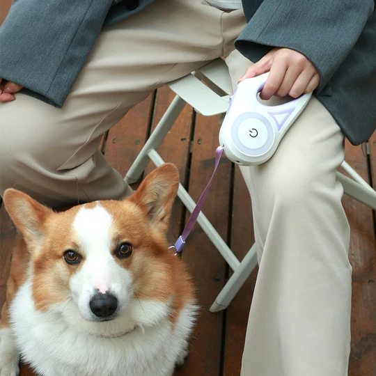 Bright Adjustable LED Dog Leash with Flashlight