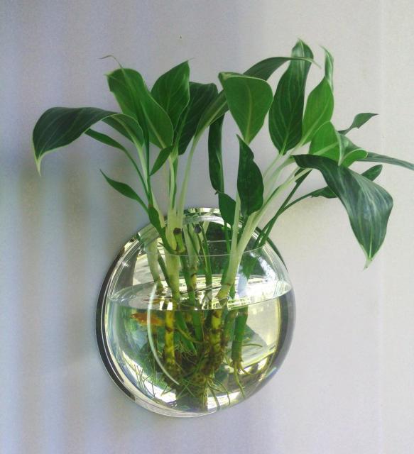 Suspended Glass Waterfall Flower Vase