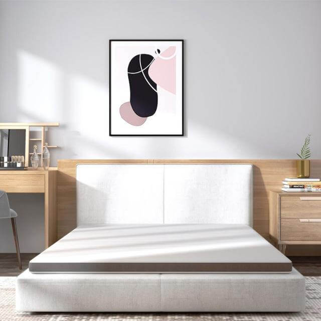 Plush Pressure Relief Memory Foam Bed Mattress