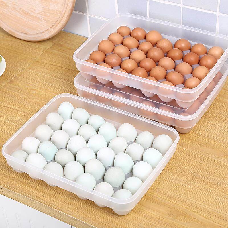 Decorative Plastic Egg Holder Container - Luxicro