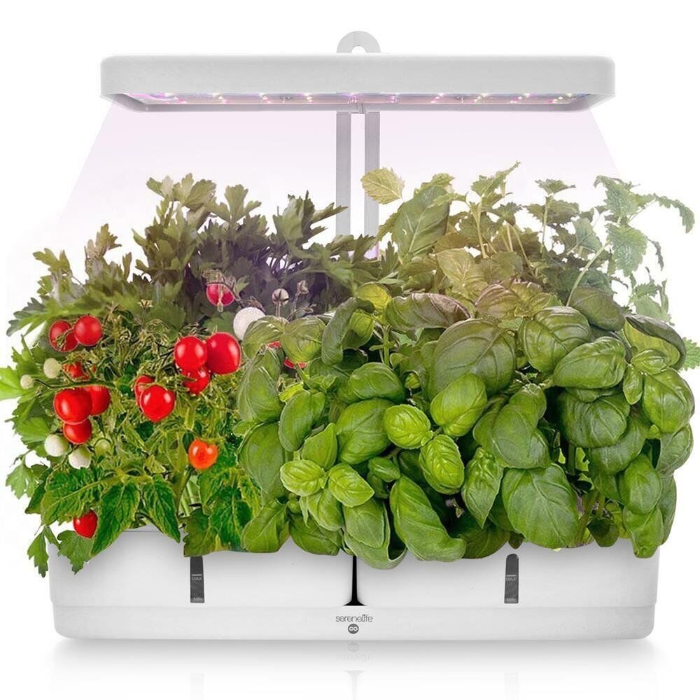Self Watering Home Herb Garden - Luxicro