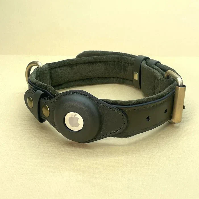 Durable GPS Pet Tracker Collar