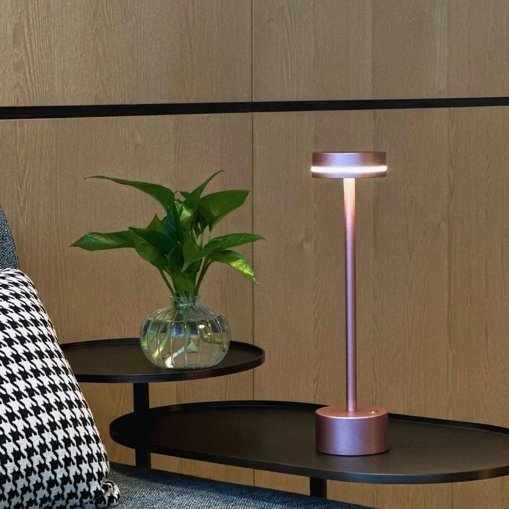 Beautiful Modern Desk Light
