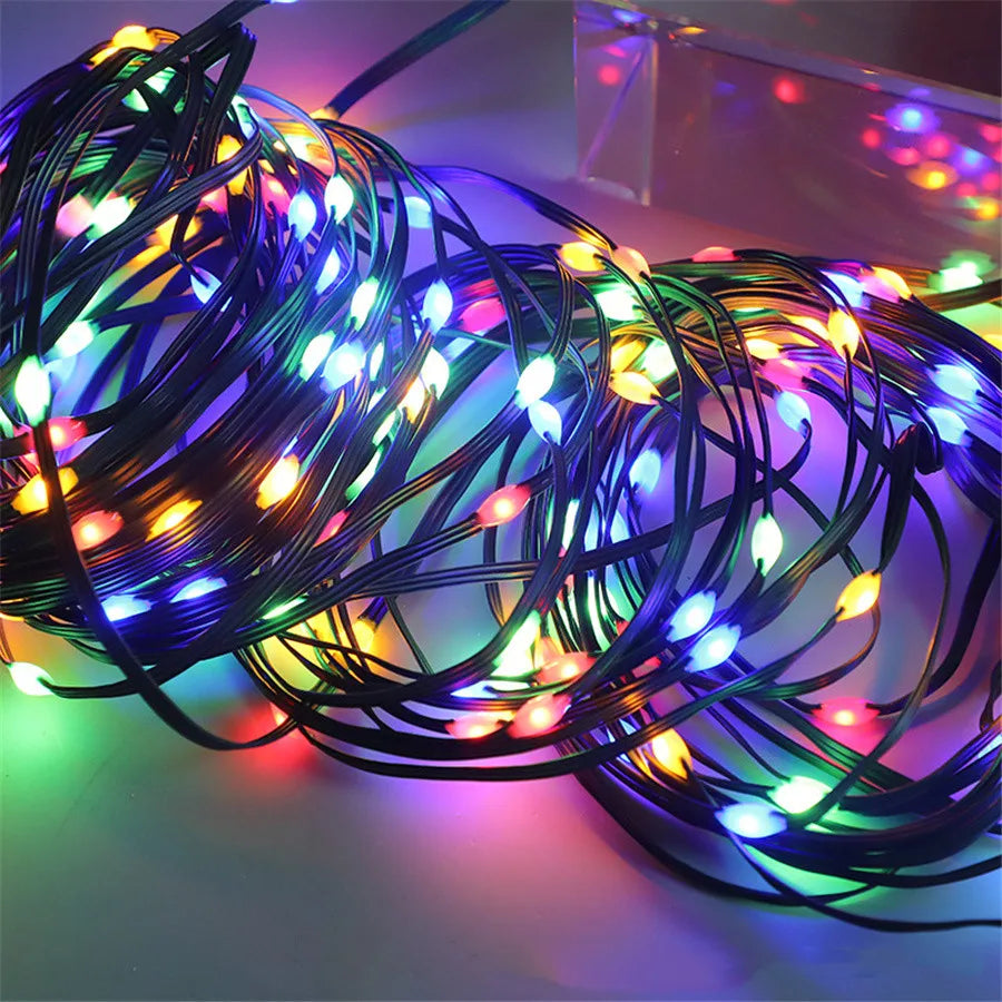 Colorful Outdoor LED String Christmas Lights