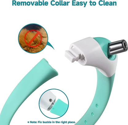 Fun Interactive Cat Toy