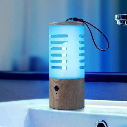 Compact UV Sanitizer Light for Home and Car