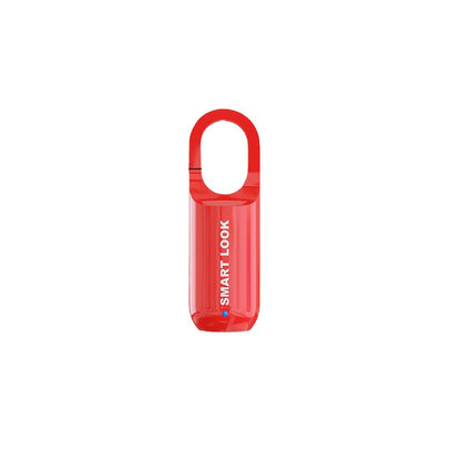 Secure Electronic Code Door Lock