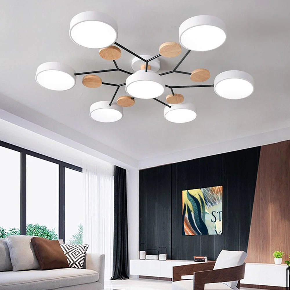 Sleek LED Ceiling Mount Lighting Fixture