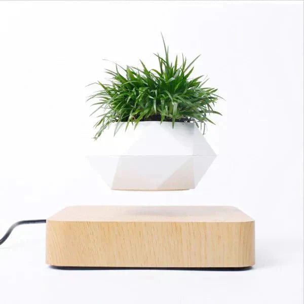 Airy Glass Terrarium Indoor Plant Holders - Luxicro